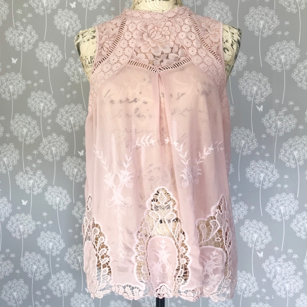 🌺🌺🌺🌺 Hint of Mint Light pink sheer top